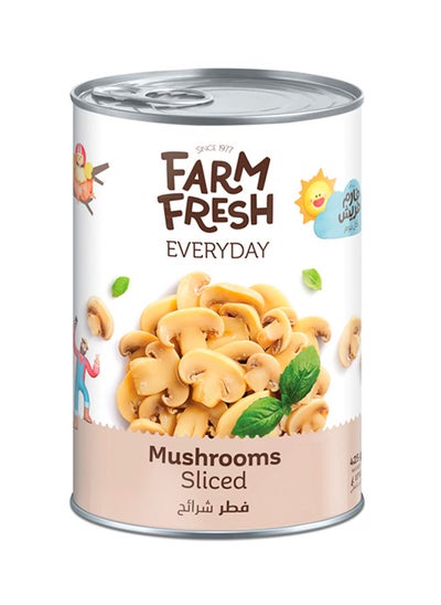 اشتري Mushrooms Pieces And Stem 425grams في الامارات