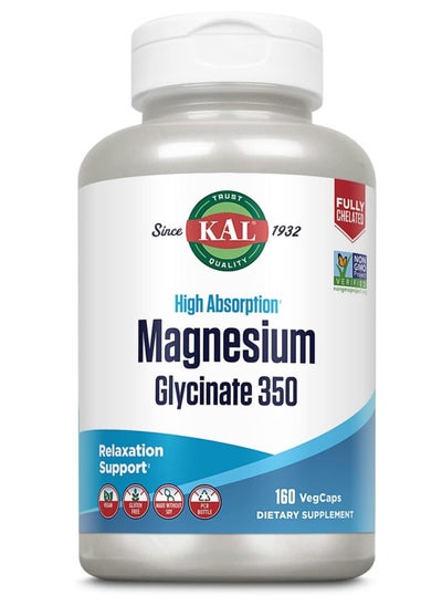 Buy Magnesium Glycinate High Absorption 160 Count in UAE