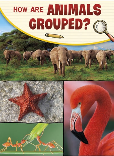 اشتري How Are Animals Grouped? في السعودية