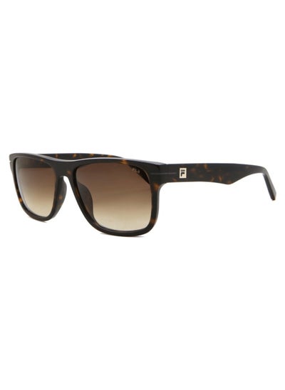 Buy Fila SFI208 0722 56 Unisex Sunglasses in UAE