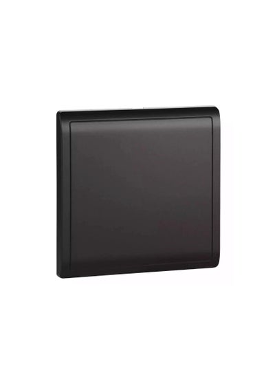 Buy Schneider Pieno Matt Black 1G Blank Plate 3X3 - E8230X-MB-G1 in UAE