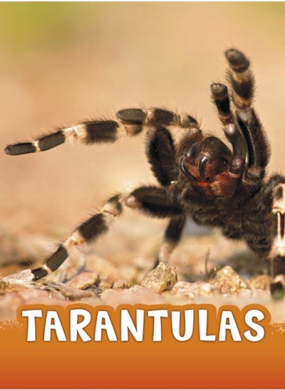 اشتري Tarantulas في الامارات