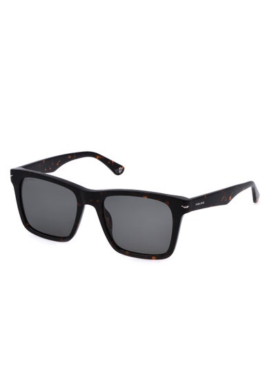 Buy Men's Square Shape Polarized Acetate Sunglasses SPLN35M55714P - Lens Size: 55 Mm - Shiny Dark Havana in Saudi Arabia