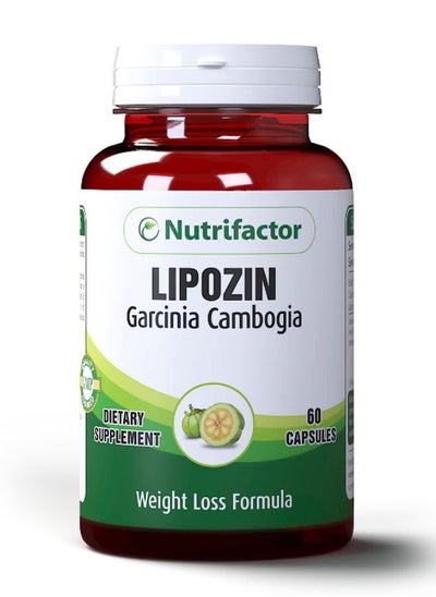 Lipozin Healthy Weight Loss Formula 60 Capsules Price In Uae Noon Uae Kanbkam 1069