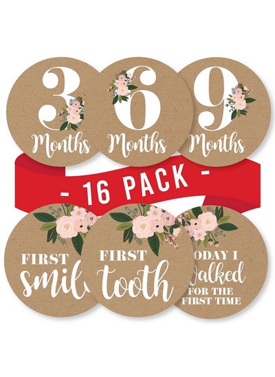 Buy 16 Monthly Baby Milestone Stickers Girl Rustic Baby Monthly Milestone Stickers For Baby Girl Milestone Baby Monthly Stickers Baby Month Stickers For Baby Photo Props Monthly Baby Stickers Girl in UAE