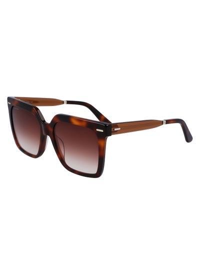 اشتري Full Rim Acetate Square Calvin Klein Sun Ck22534S 5518 (220) Brown Havana في الامارات