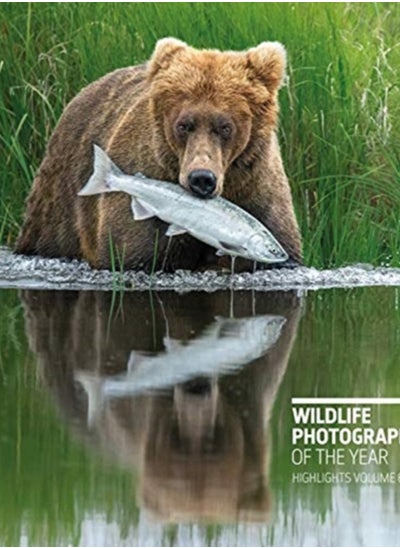 Buy Wildlife Photographer of the Year: Highlights Volume 6, Volume 6 in Saudi Arabia