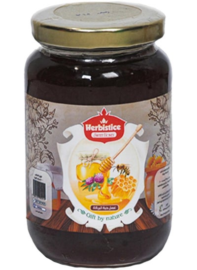 Buy Herbistice Black Seed Bee Honey 950g in Egypt