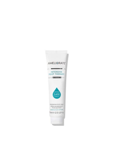 اشتري AMELIORATE INTENSIVE FOOT THERAPY 75ML في الامارات