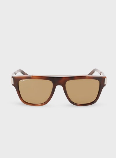 Buy Sf1032S-229 Wayfarers Sunglasses in Saudi Arabia