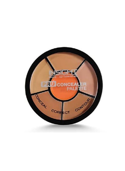 Buy Cosmetics Pro Concealer Palette (Concealer) in UAE
