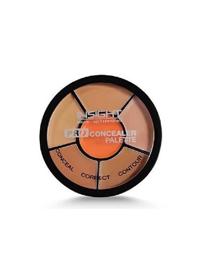 Buy Cosmetics Pro Concealer Palette (Concealer) in UAE