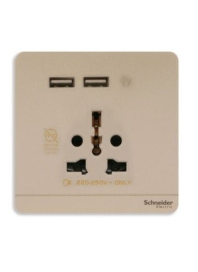 Buy Schneider Electric AvatarOn USB charger 2 socket outlet 2P 16A Wine Gold E8342616USB_WG in UAE