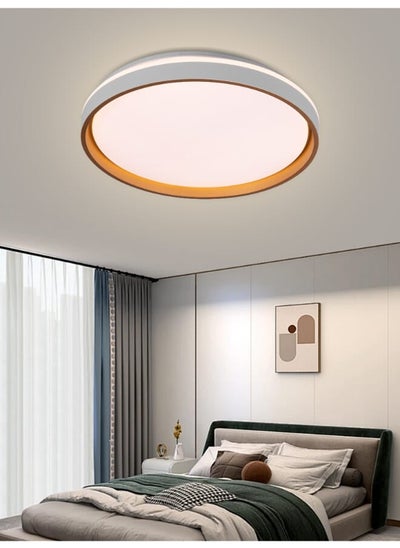 Buy 2309 Dimmable LED Ceiling Light With Three Brightness Levels - Creative Light Decorative Lamp for Kids Room Living Room Study Room in Saudi Arabia