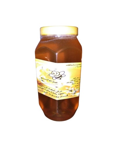اشتري عسل موالح وزن 1كجم في مصر