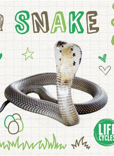 Buy Snake in UAE