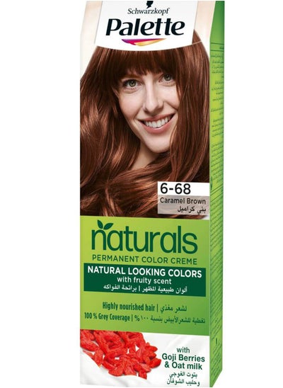 Buy Palette Naturals 6-68 Caramel Brown 110Ml in Egypt