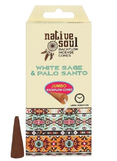 اشتري White Sage and Palo Santo Backflow Incense Cones في الامارات