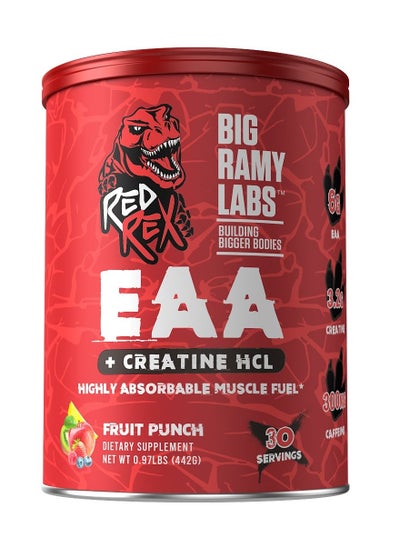 اشتري EAA + Creatine HCL - Fruit Punch في مصر