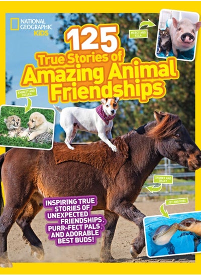 Buy 125 Animal Friendships in UAE