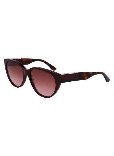 Buy Full Rim Acetate Oval Lacoste Suns L985S 5916 (603) Dark Red in Saudi Arabia