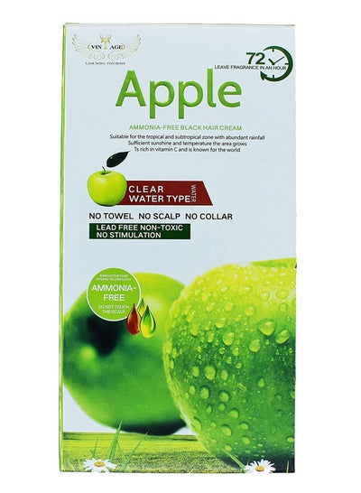 Buy Apple Natural Hair Color Shampoo Ammonia Free Black 1000ml in UAE