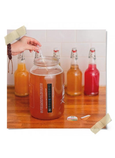 Buy Fermentaholics Big Momma Kombucha Scoby With Twelve Ounces Of Starter Tea - Live Kombucha Starter Culture | Extra Large 6" Pellicle | Makes A One Gallon Batch | 1.5 Cups Of Strong Mature Starter Tea in UAE