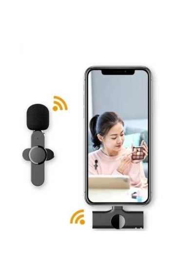 Buy Wireless Type C Mini Microphone Connect With Mobile And Lapel Clip On Mic in UAE