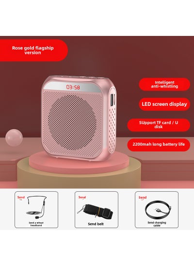 Buy Nuo bixing S17 little bee loudspeaker teacher teaching guide stall selling loudspeaker portable player Chinese Ultimate Edition Gold in UAE