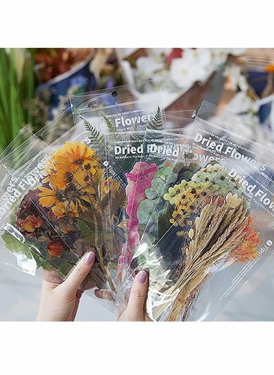 Buy Waterproof Plants Stickers Set, 48 Pcs Vintage Plants Flowers Collection Natural Sticker for Decoration Planners Scrapbook Laptops in Saudi Arabia