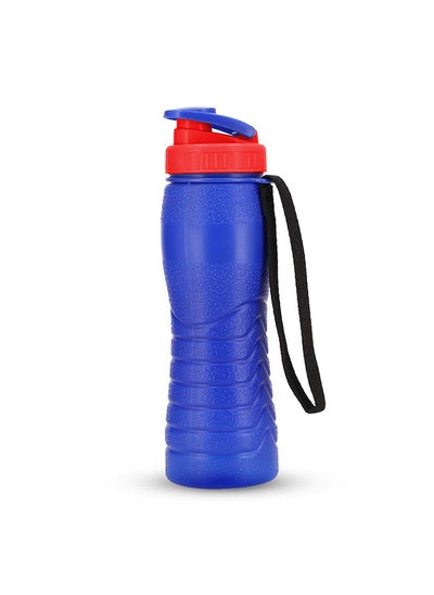 Buy Spring Thermic Water Bottle Dark Blue 500ML in UAE