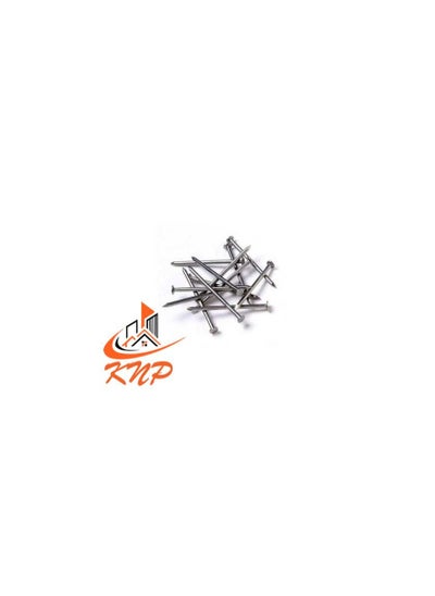 Buy KNP Common Wire Nail 25mm (1") 120grams in UAE