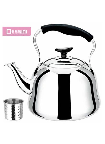 Buy Dessini Stainless Steel Tea Kettle With Strainler 2L in UAE