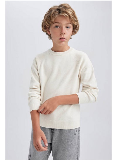 Buy Boy Regular Fit Crew Neck Long Sleeve Tricot Pullover in Egypt