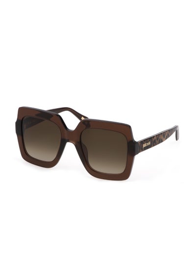 اشتري Women's Square Shape  Acetate Sunglasses SJC023 530AAK - Lens Size: 53 Mm - Shiny Transp.Brown في الامارات