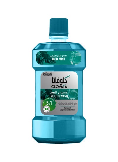 Buy Mouthwash Iced Mint in Saudi Arabia