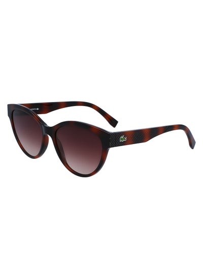 اشتري Full Rim Bio Injected Cat Eye Lacoste Suns L983S 5517 (240) Tortoise في الامارات