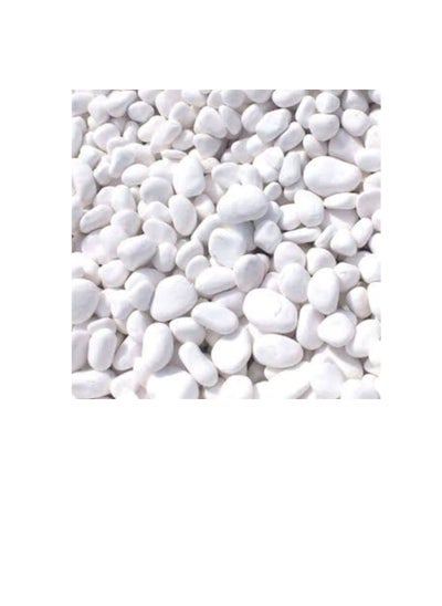 اشتري Lamac Crafts Black Pebbles Polished Large 3 kg في الامارات