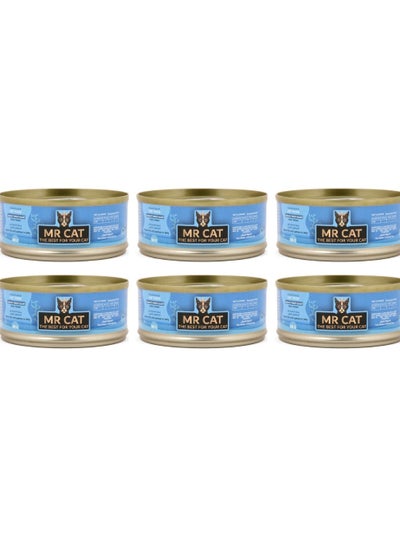 Buy Cat Adult And Kitten Wet Food Ocean Fish with Salmon in Jelly Flavor Pack Of 6 in Saudi Arabia