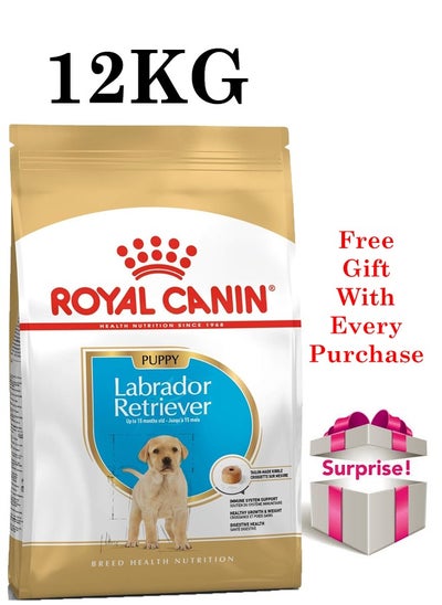 Buy Breed Health Nutrition Labrador Puppy 12 KG in UAE