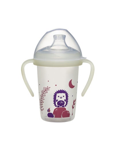 Buy First Moments Training Pp Bottle Hedgehog -270ml in UAE