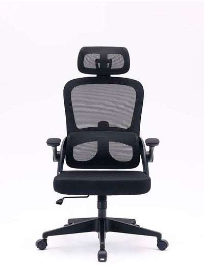 Buy M102C-M101 Ergonomic Office Chair, Computer High Back Chair with Dual Back Design - Individual Lumbar Pillow, 3D Armrests, Adjustable Headrest and Comfortable Thick Cushion (Black) in UAE