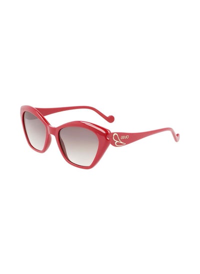 Buy Full Rim Injected Butterfly Sunglasses LJ756S 5318 (601) in Saudi Arabia