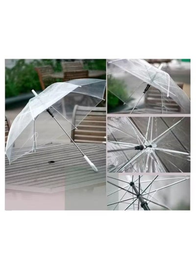 Buy Lightweight waterproof transparent folding umbrella in Saudi Arabia