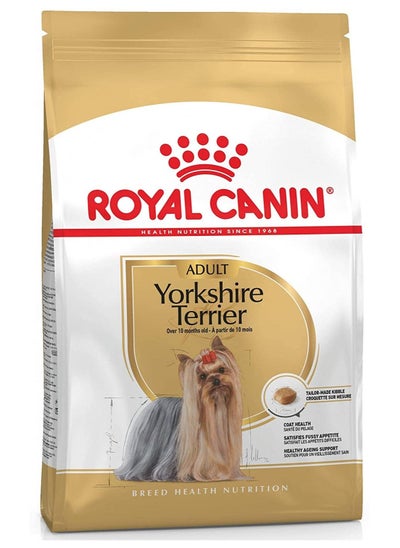 Buy Yorkshire Terrier Adult in UAE