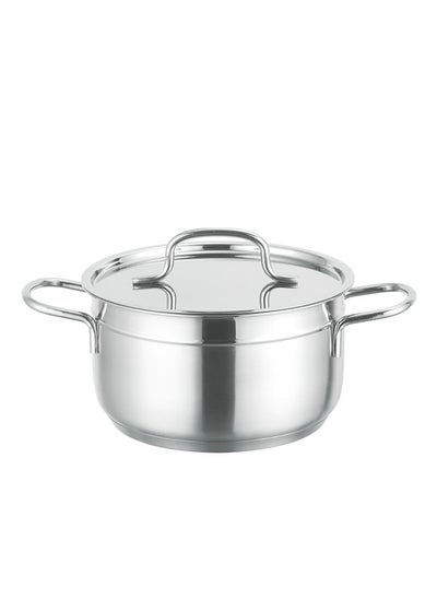 Buy Alpha Stainless Steel Cooking Pot 20CM Silver With 5 Induction Layers Bottom in Saudi Arabia