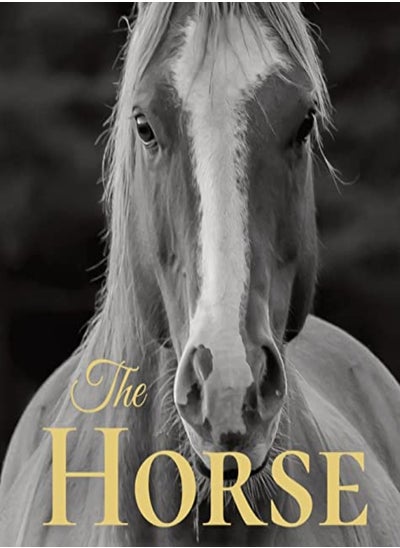 Buy The Horse: Coffee Table Book With Quotations About The Magnificent Equines. in UAE