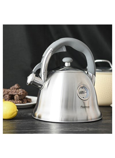 اشتري Whistling Kettle Wendy 3.0 Ltr Stainless Steel في الامارات