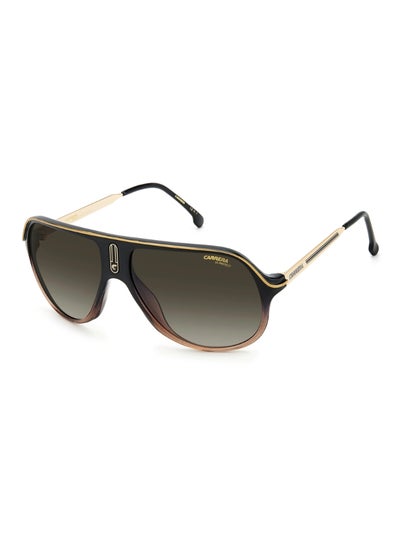 Buy Men's Pilot Sunglasses - SAFARI65/N_0DCC HA - Lens size: 62 mm in UAE