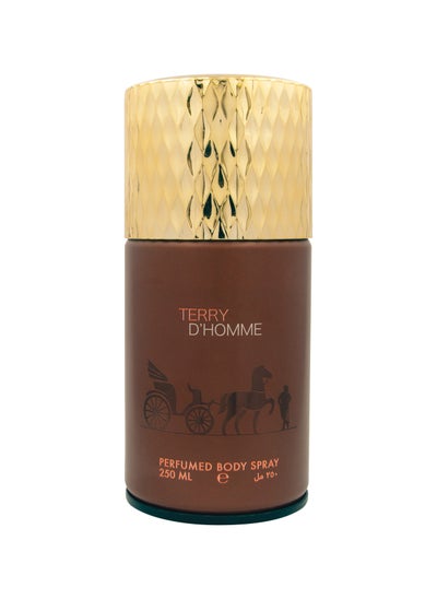 Buy Terry D'Homme Perfumed Spray 250ML in UAE